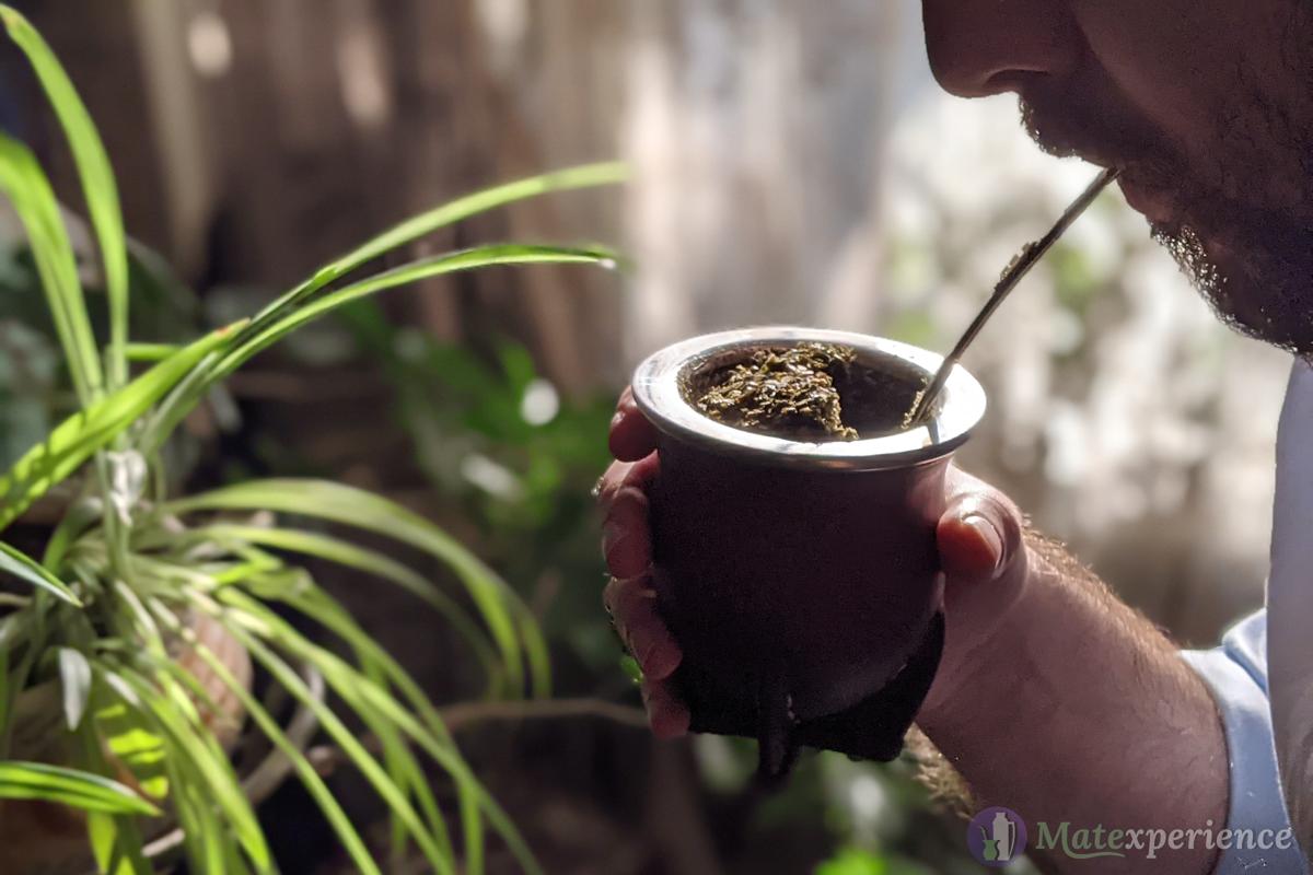 The Best Drink You Never Heard Of, Yerba Mate